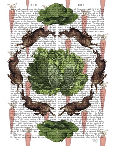 Leaping Hares and Cabbages