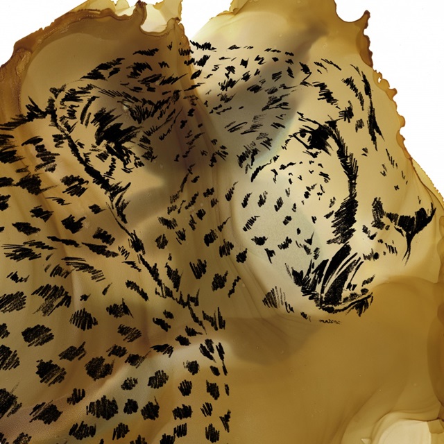 Leopard Portrait II