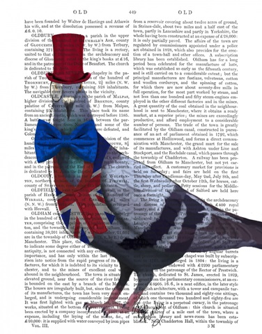 London Pigeon