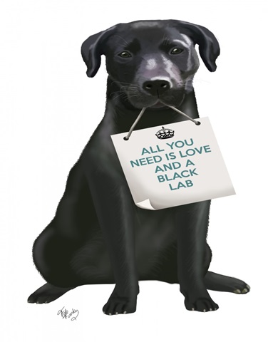 Love and Black Labrador