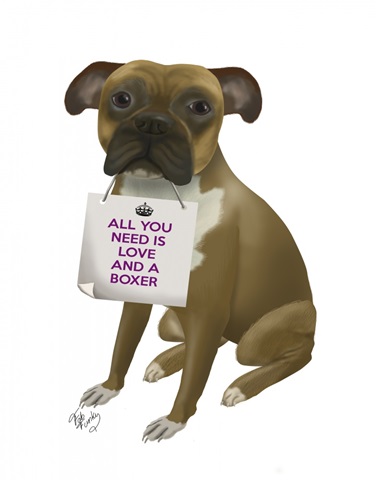 Love and Boxer