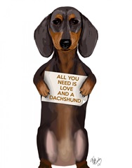 Love and Dachshund