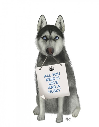 Love and Husky