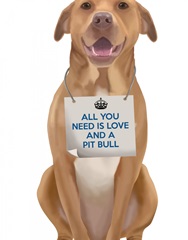 Love and Pit Bull