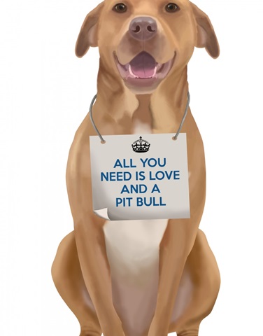 Love and Pit Bull