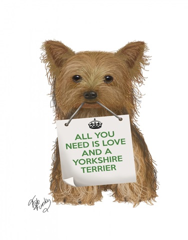 Love and Yorkshire Terrier