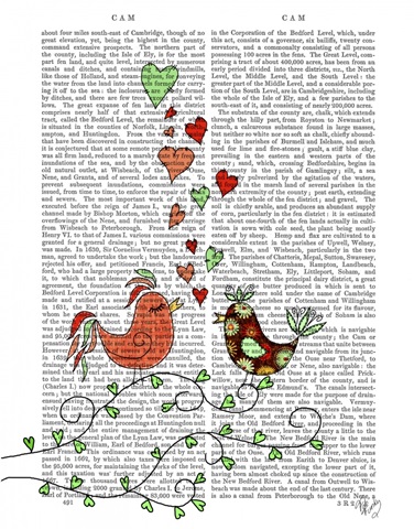 Love Birds Illustration