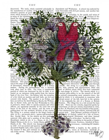 Love Birds in a Tree