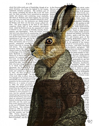 Madam Hare Portrait