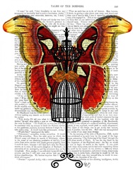 Mannequin Red And Yellow Butterfly