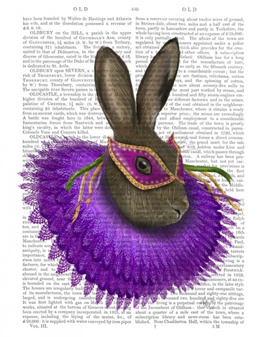 Mardi Gras Hare