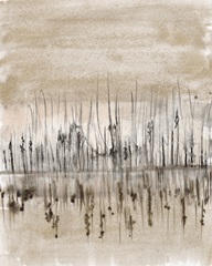 Marshline Reflection I