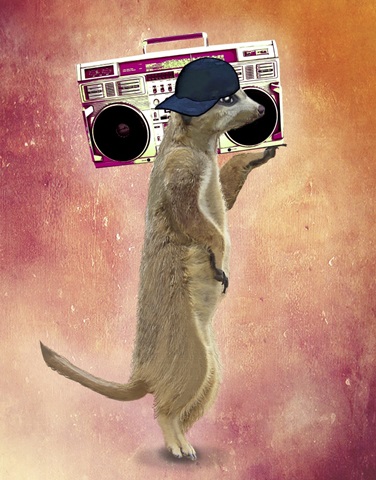 Meerkat and Boom Box