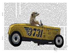 Meerkat in Hot Rod