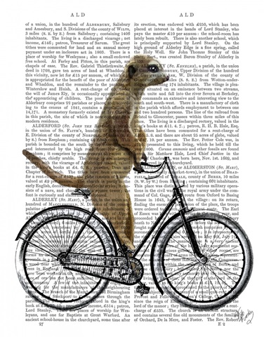 Meerkat on Bicycle
