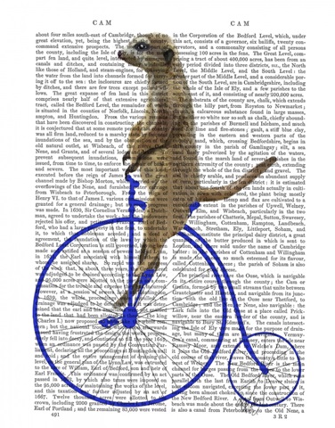 Meerkat On Blue Penny Farthing