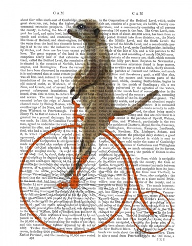 Meerkat on Orange Penny Farthing