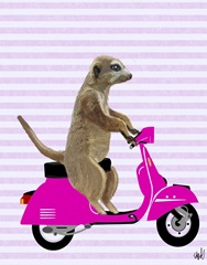 Meerkat on Pink Moped