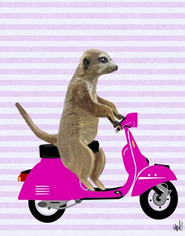 Meerkat on Pink Moped