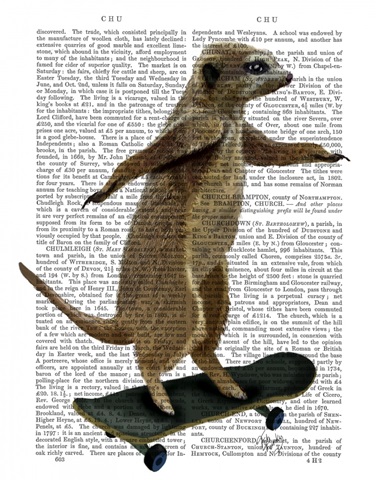 Meerkat On Skateboard