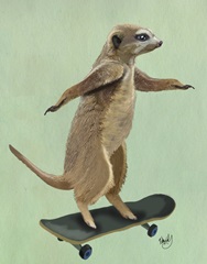 Meerkat On Skateboard