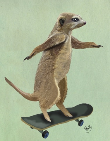 Meerkat On Skateboard