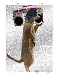 Meerkat with Boom Box Ghetto Blaster