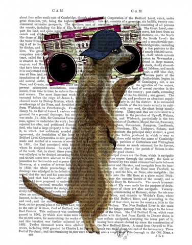 Meerkat with Boom Box Ghetto Blaster
