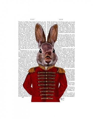 Military Rabbit in Red