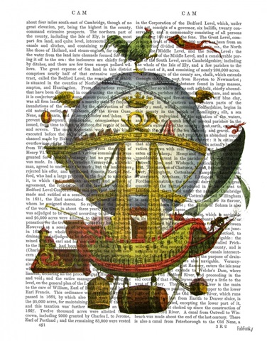 Minerve Hot Air Balloon