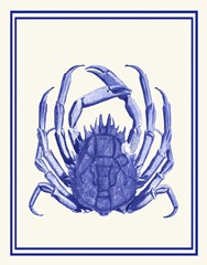 Mixed Nautical Blue on Cream b