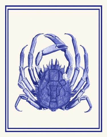 Mixed Nautical Blue on Cream b