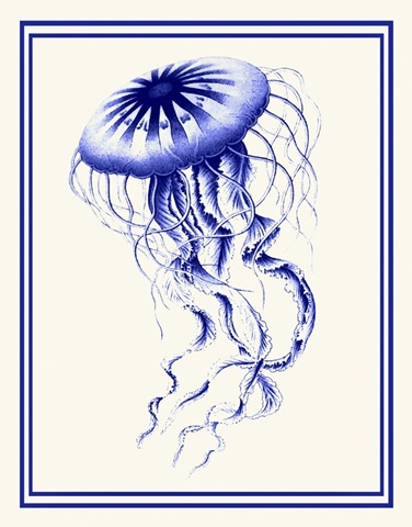 Mixed Nautical Blue on Cream c