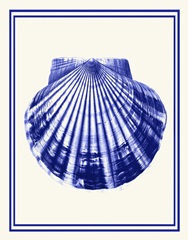 Mixed Nautical Blue on Cream d