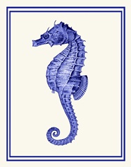 Mixed Nautical Blue on Cream e