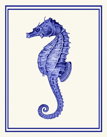 Mixed Nautical Blue on Cream e