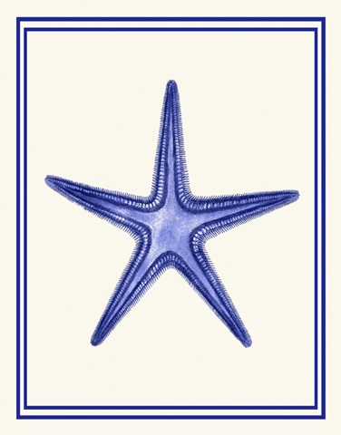 Mixed Nautical Blue on Cream f