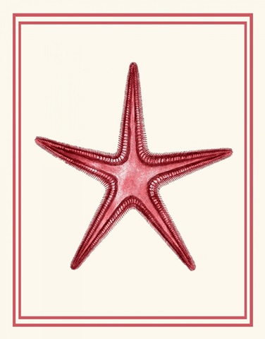 Mixed Nautical Coral on Cream a