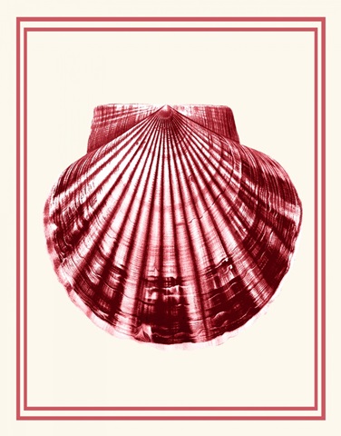 Mixed Nautical Coral on Cream b