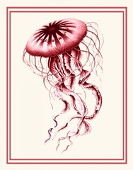 Mixed Nautical Coral on Cream e