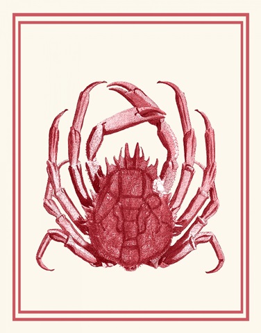 Mixed Nautical Coral on Cream f