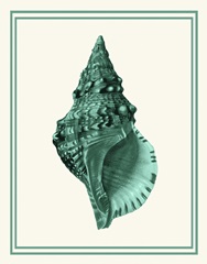 Mixed Nautical Green on Cream a