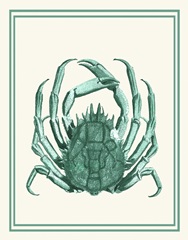 Mixed Nautical Green on Cream b