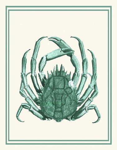 Mixed Nautical Green on Cream b