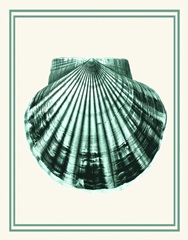 Mixed Nautical Green on Cream d