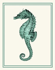 Mixed Nautical Green on Cream e