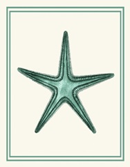 Mixed Nautical Green on Cream f