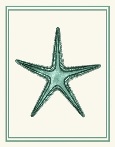 Mixed Nautical Green on Cream f