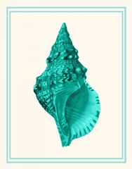 Mixed Nautical Turquoise on Cream a