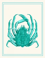 Mixed Nautical Turquoise on Cream b